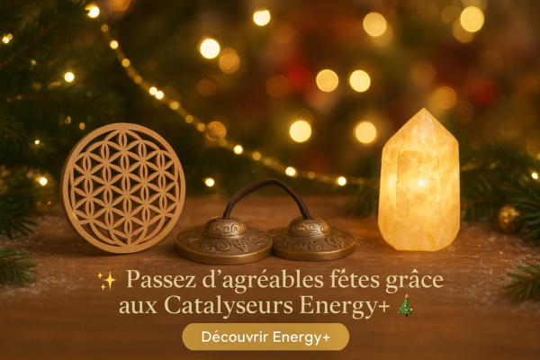 Noel energy+ catalyseurs