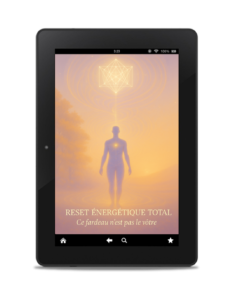 RET-cover1 webp reset energetique total