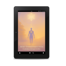RET-cover1 webp reset energetique total