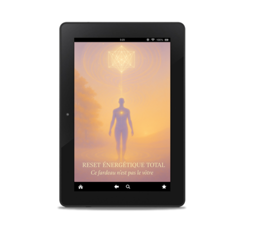 RET-cover1 webp reset energetique total
